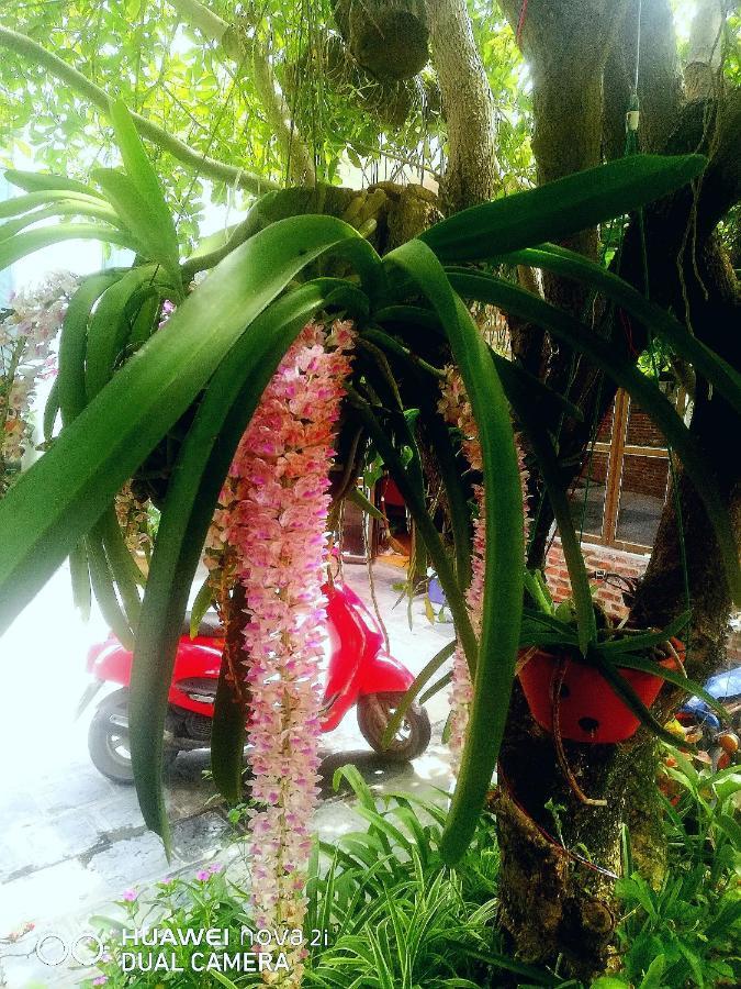 Tamcoc Mr. Cau Homestay Ninh Binh Exterior foto